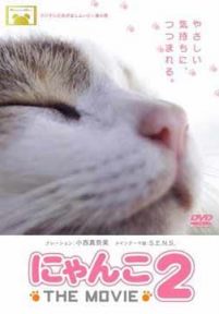 猫咪物语